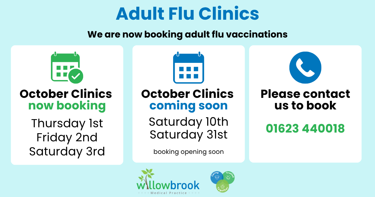 Adult Flu Clinics